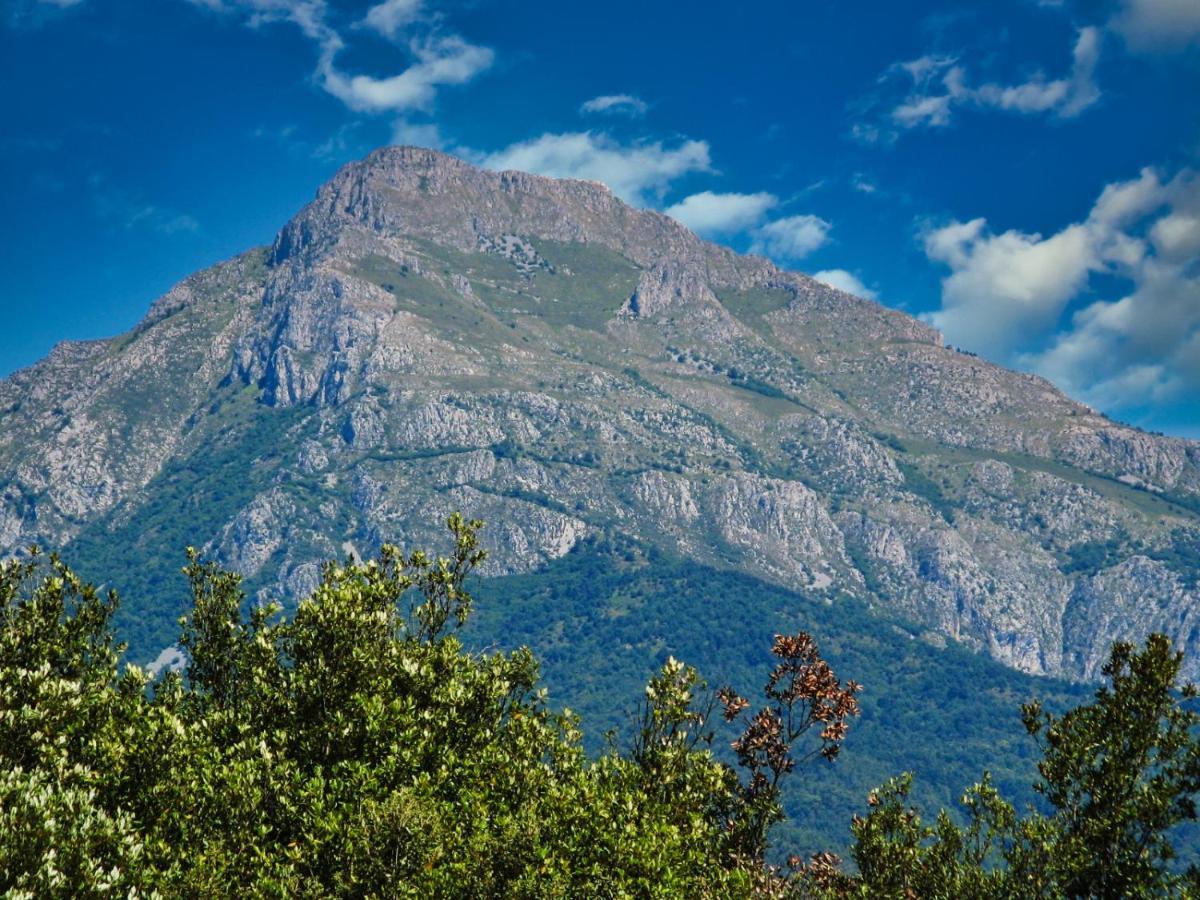 L'Ortensia Apartment Pigna Bagian luar foto