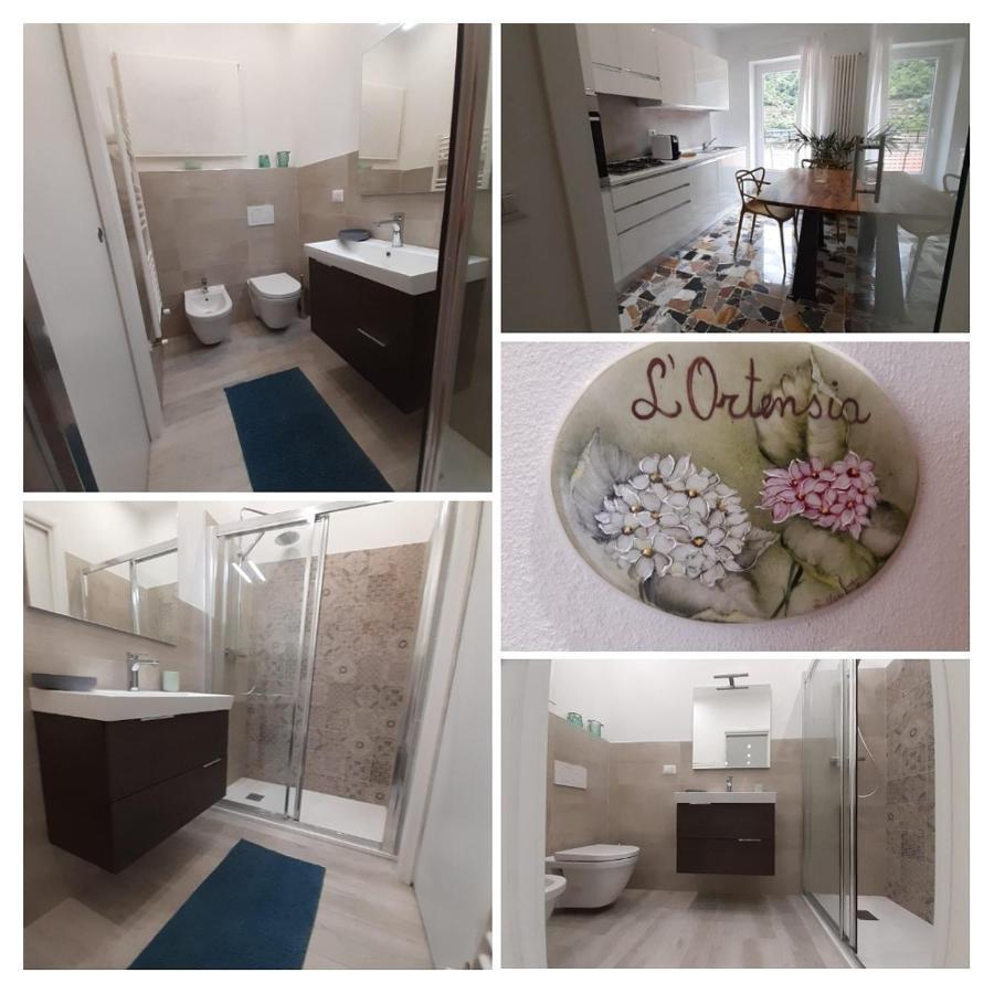 L'Ortensia Apartment Pigna Bagian luar foto